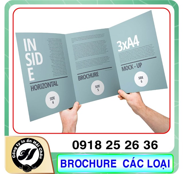 Brochure Gấp 3 - 4 - 5 - 6