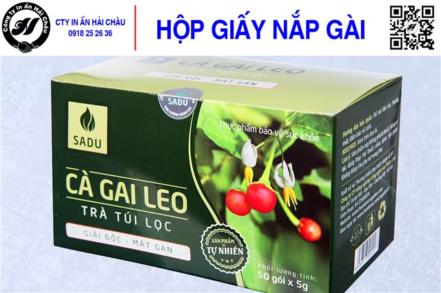 Hộp giấy nắp gài-0013